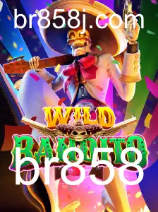 Descubra o Mundo Empolgante de WildBandito